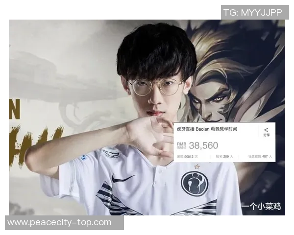 和平精英团队协作研究：IG战队的成功经验与策略分析