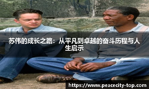 苏伟的成长之路：从平凡到卓越的奋斗历程与人生启示