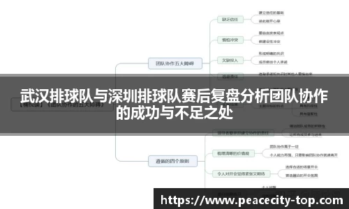 武汉排球队与深圳排球队赛后复盘分析团队协作的成功与不足之处