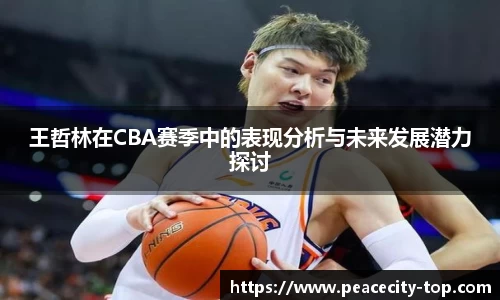 王哲林在CBA赛季中的表现分析与未来发展潜力探讨